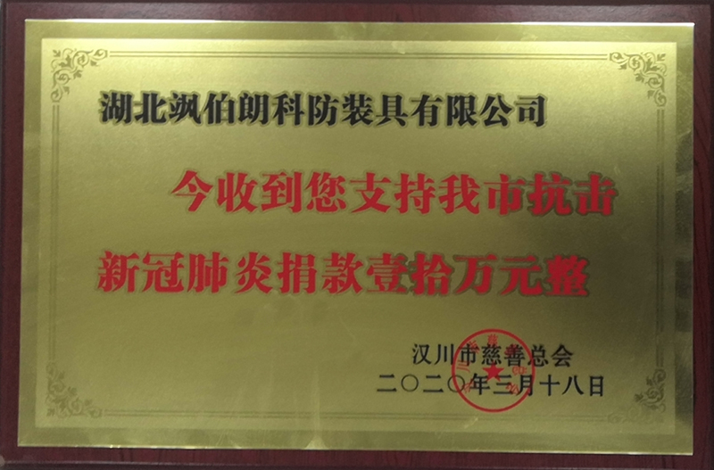 神農架湖北颯伯朗支援漢川市慈善總會捐款，攜手抗擊新冠疫情